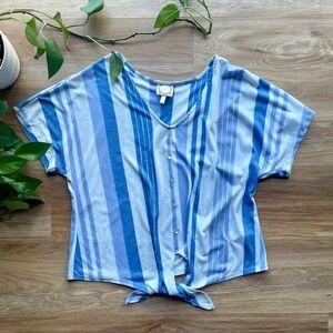 Casual Blue Striped Button Down Shirt